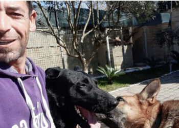 Pitbulli i këputi veshin dhe i mori jetën fqinjit, pronari i qenit: Më falni!