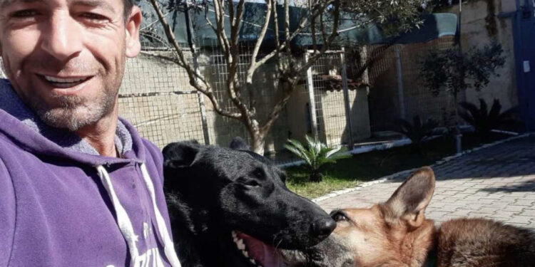 Pitbulli i këputi veshin dhe i mori jetën fqinjit, pronari i qenit: Më falni!