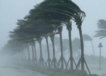 Po vjen stuhia nga deti! Pezullohet tre ditë lundrimi 