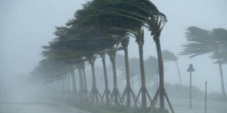 Po vjen stuhia nga deti! Pezullohet tre ditë lundrimi