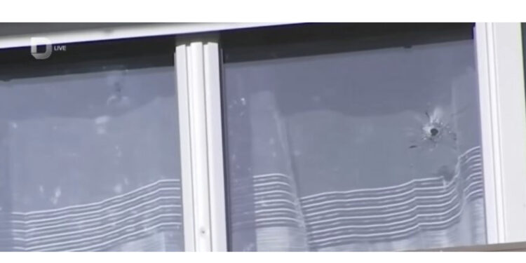 Gruaja me dy vajzat brenda, flet nipi: Si ma vranë xhaxhanë duke fjetur gjumë