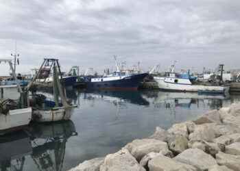 Gjendet trupi i pajetë i një 42-vjeçari në Portin e peshkimit në Durrës