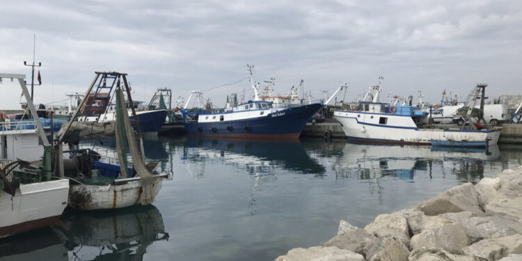 Gjendet trupi i pajetë i një 42-vjeçari në Portin e peshkimit në Durrës