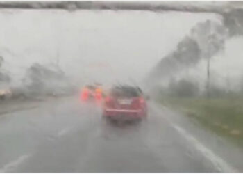 Stuhia erdhi! Thyhen pemët, bllokohet autostrada në Tiranë, në Durrës “notojnë” makinat