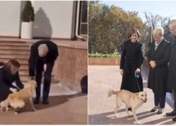 VIDEO/ Presidenti austriak kafshohet nga qeni i homologes moldave 