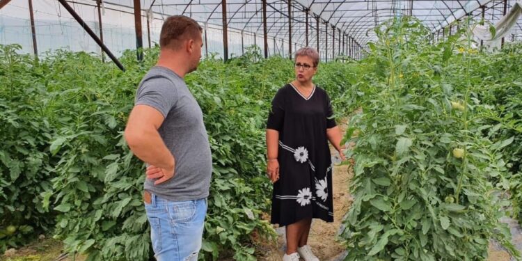 Buxheti 2024, shkurtohen me 9% fondet e bujqësisë, më pak financime për fermerët