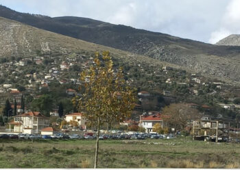 I jepet lamtumira e fundit vajzës së ish-deputetit