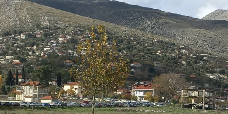 I jepet lamtumira e fundit vajzës së ish-deputetit