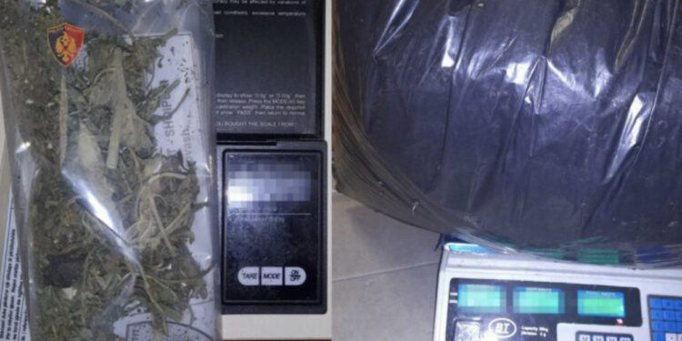 Goditet grupi kriminal në Shkodër, sekuestrohet 13 kg kanabis