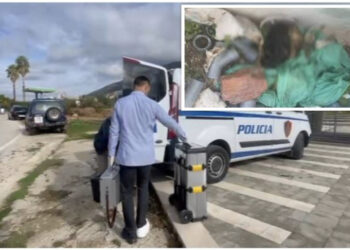 Trupi iu gjet i copëtuar, flet motra e 53-vjeçarit: I shkëpuste lidhjet për 2-3 muaj, s’e kishim denoncuar