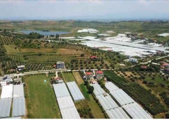 U bllokuan nga BE/ IPARD gjen 33.5 milionë euro parregullsi fondet për bujqësinë. Si u vodhën lekët për fermerët