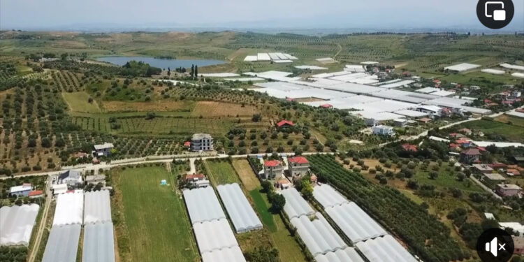 U bllokuan nga BE/ IPARD gjen 33.5 milionë euro parregullsi fondet për bujqësinë. Si u vodhën lekët për fermerët