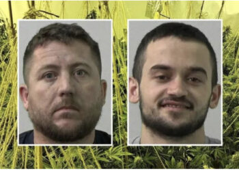 EMRAT/ Policia britanike shkatërron fermën e kanabisit, hyrja sekrete “fundosi” 2 shqiptarët