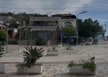 Trupi iu gjet i ndarë në dy pjesë, detaje të reja për bariun: Flinte prej kohësh në bodrum dhe pinte alkool