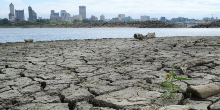 Raporti i OKB-së: Po rrezikohet e ardhmja e planetit