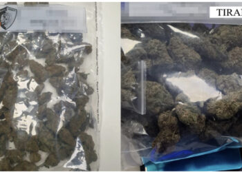 EMRAT/ Iu gjetën 7.9 kg kanabis në banesë, arrestohen 2 vëllezër