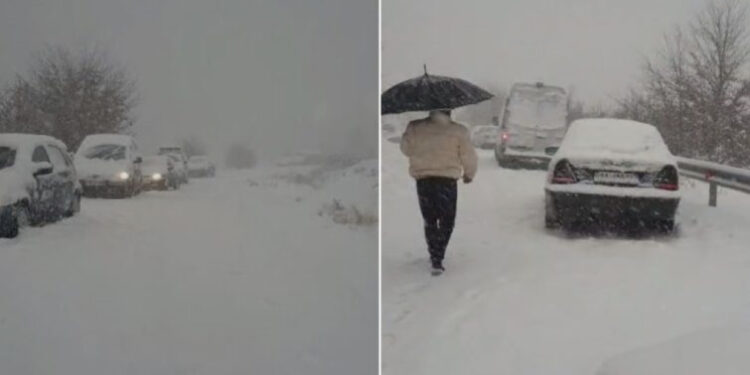 Rruga e Arbrit mori miliona euro, tani po bllokon qindra njerëz