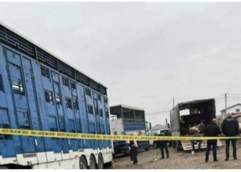 E rëndë/ Kasapët zihen në treg, 9 të plagosur me granatë