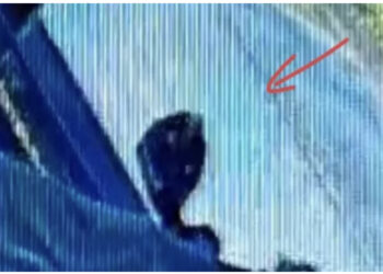 VIDEO/ Me çantë të errët, momenti kur shqiptari kapërcen gardhin e shtëpisë dhe vret 26-vjeçaren shtatzënë në Itali