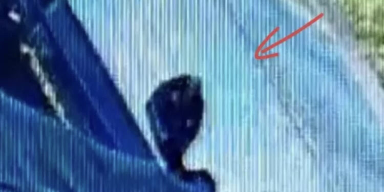 VIDEO/ Me çantë të errët, momenti kur shqiptari kapërcen gardhin e shtëpisë dhe vret 26-vjeçaren shtatzënë në Itali