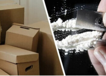 Shpërbëhet grupi i kokainës në Belgjikë, arrestohen 11 persona, mes tyre 2 shqiptarë