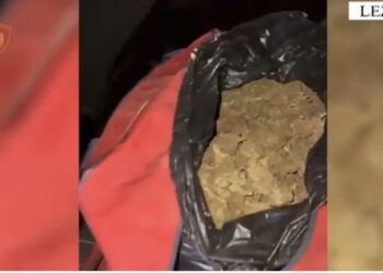 Lëvizte me çantë të mbushur me kanabis, arrestohet 22-vjeçari në Lezhë