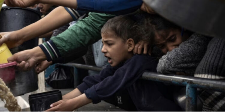 Si funksionon ligji i ri për prodhimin bio?