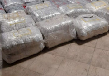 Policia e Vlorës sekuestron 500 kg kanabis, 7 të arrestuar, dalin emrat