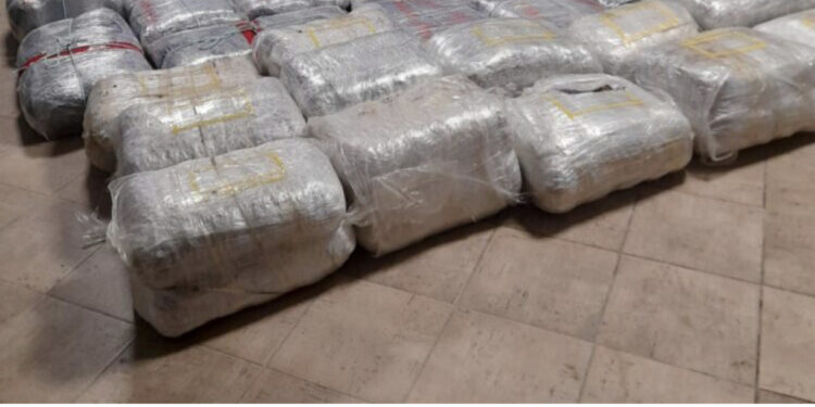 Policia e Vlorës sekuestron 500 kg kanabis, 7 të arrestuar, dalin emrat