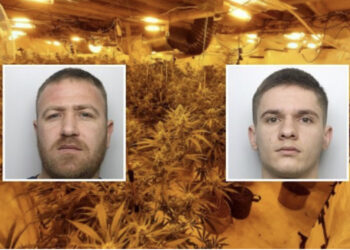 Shqiptarët “dynden” në burgjet britanike, vetëm në 3 muaj 101 të arresuar, “lojtarë” të rëndësishëm në tregtinë e kanabisit