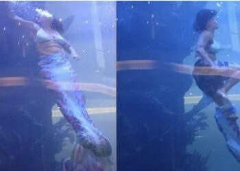 VIDEO/ Për pak u kthye në tragjedi, po performonte para fëmijëve “Sirena” rrezikoi të mbytej 