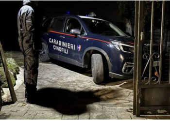 Kush është 29-vjeçari shqiptar që u arrestua në Gjermani, pjesë e bandës së Pëllumb Pacramit: Përgjimet që “i fundosën”