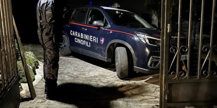 Kush është 29-vjeçari shqiptar që u arrestua në Gjermani, pjesë e bandës së Pëllumb Pacramit: Përgjimet që “i fundosën”