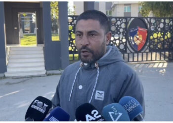 1.5 mln euro vepra arti të kapura në Fier, kryeplaku: Janë pa vlerë, i shesim me 500 lekë në treg