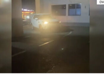 Prodhonte dhe shiste lëndë narkotike, në pranga 41-vjeçari nga Elbasani