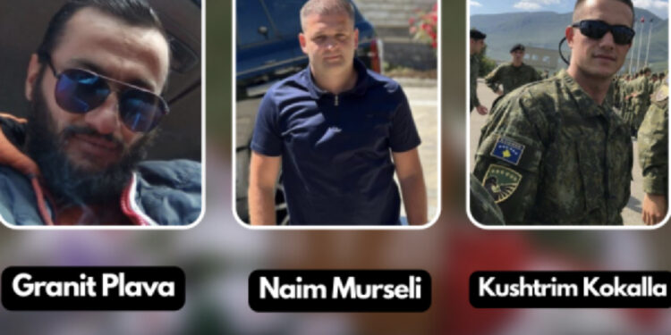 Vrasja e Liridonës, Apeli lë në burg burrin dhe 3 të dyshuarit e tjerë