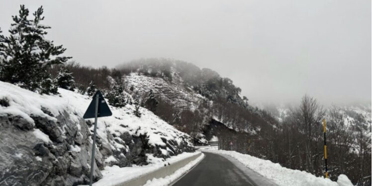 VIDEO/ Zonat malore në Shkodër të mbuluara nga bora, nuk raportohen probleme në qarkullim