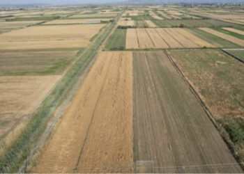 Nafta për fermerët, shtyhet me 6 muaj disbursimi