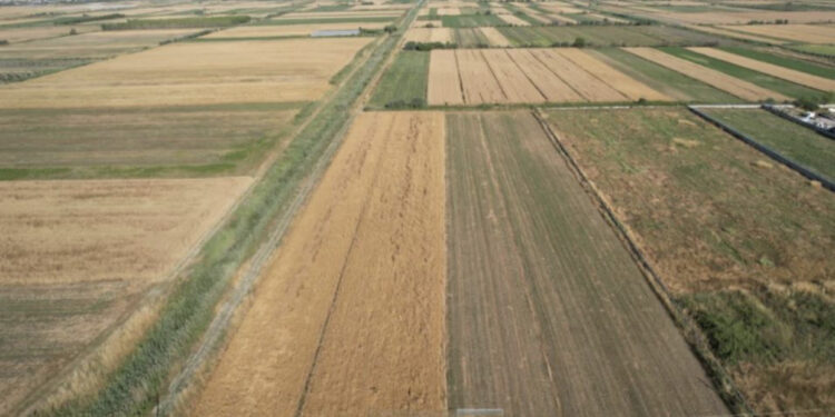 Nafta për fermerët, shtyhet me 6 muaj disbursimi