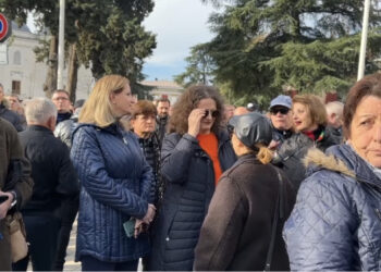 Protesta në mbështetje të Berishës, merr pjesë dhe Argita Malltezi