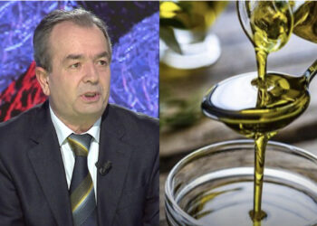 Çmimi i vajit të ullirit në ‘qiell’, cilësia përtokë. Vetëm 35% e sasisë ‘kalon klasën’