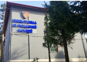 Maliq/ 35-vjeçari theu masën e arrestit në shtëpi, policia e arreston