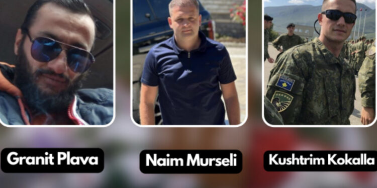 “Sot duhet të kryhet kjo punë”, zbulohet plani i vrasjes së Liridonës