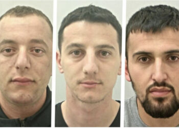 Shkuan “për një jetë më të mirë”, tre shqiptarë kapen në një fermë kanabisi në Britani