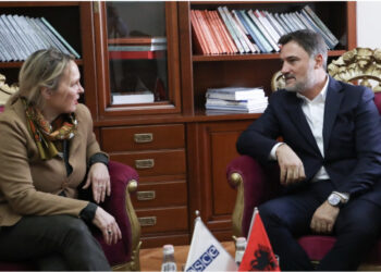 Reforma Zgjedhore, përfaqësuesja e OSBE: Mirëpresim rifillimin e punës të premten