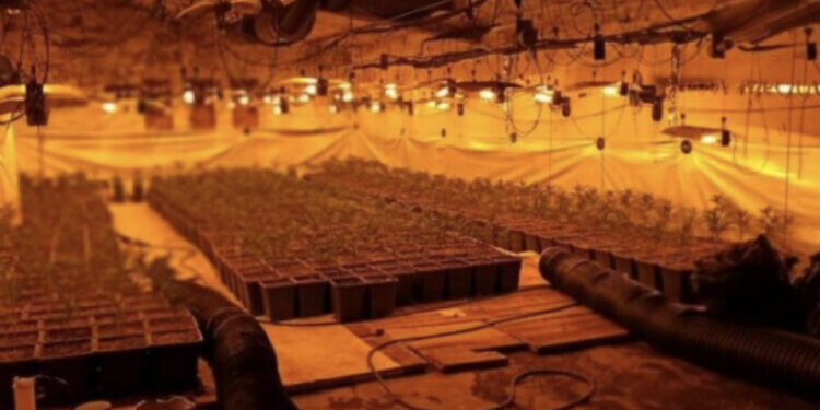 Kapen duke punuar në “shtëpi bari”, arrestohen dy shqiptarë në Spanjë