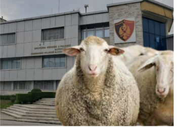 EMRAT/ Policia e Gjirokastrës pas tre muajsh hetime sekuestron 141 dele dhe arreston (veterinerin)!