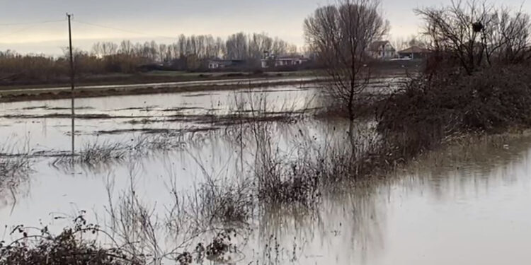 Lumi Ishëm del nga shtrati, përmbyten tokat e banorëve