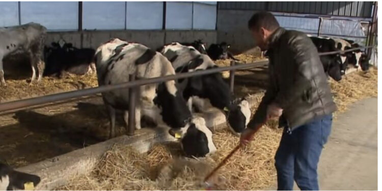 Abuzimi me fondet e IPARD në Ballkan, Shqipëria kryesor listën