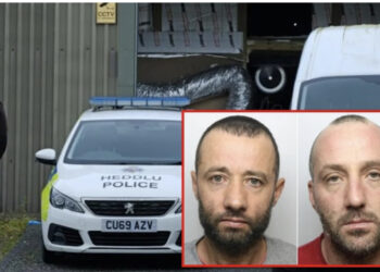 EMRAT/ “Erdhëm në shtëpi bari për të larë borxhet”! Përfundojnë në burg dy shqiptarët 